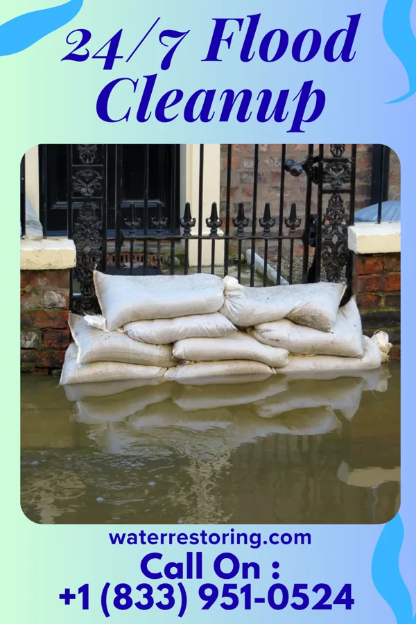 24/7 Flood Cleanup in Grand Mound, IA