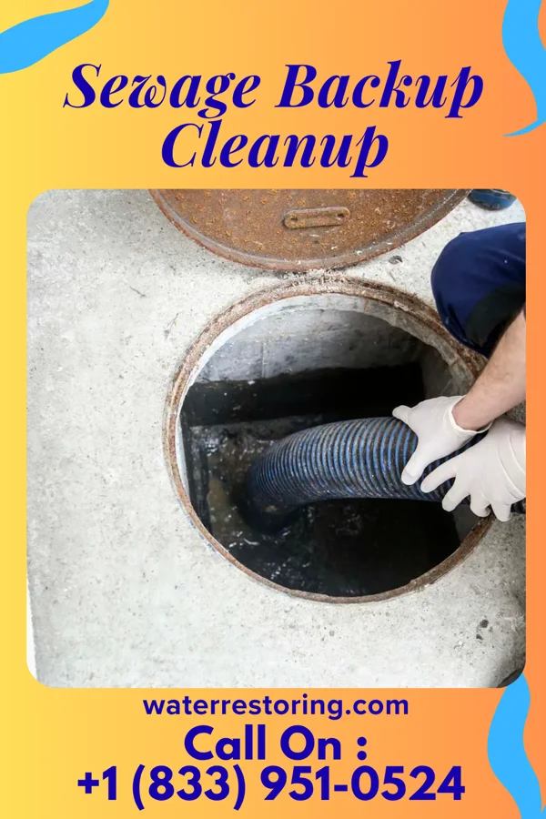 Sewage Backup Cleanup in Grand Mound, IA